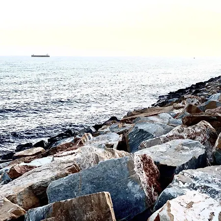 公寓 El Molino 托雷维耶哈